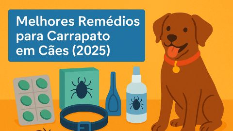 Cachorro saudável ao lado de produtos antiparasitários, representando os melhores remédios para carrapato em cães